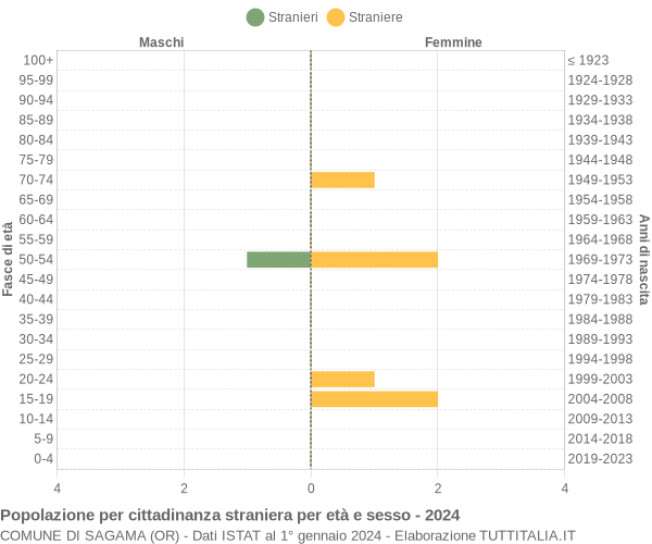 Grafico cittadini stranieri - Sagama 2024