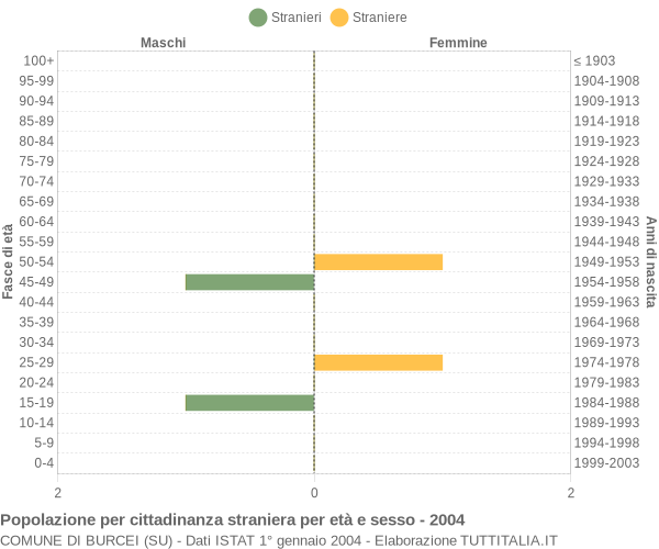 Grafico cittadini stranieri - Burcei 2004