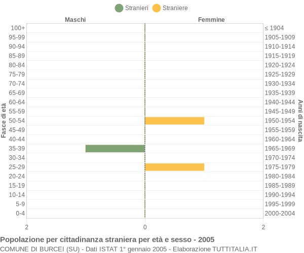 Grafico cittadini stranieri - Burcei 2005