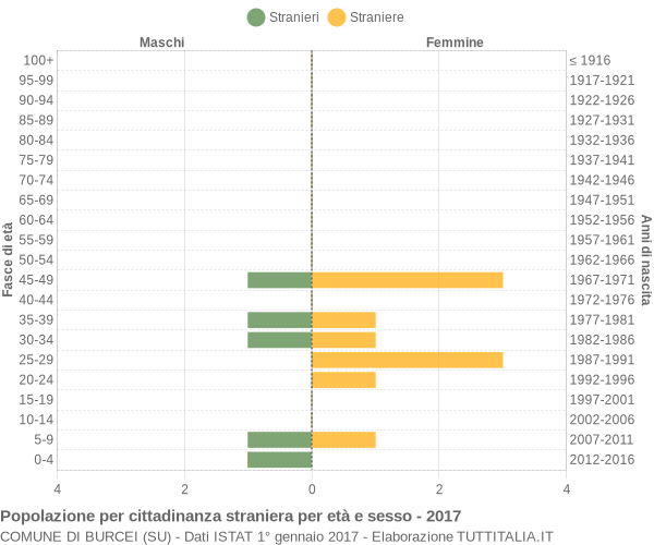 Grafico cittadini stranieri - Burcei 2017