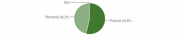 Grafico cittadinanza stranieri - Ittireddu 2009