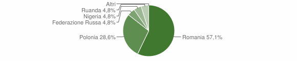Grafico cittadinanza stranieri - Ittireddu 2013