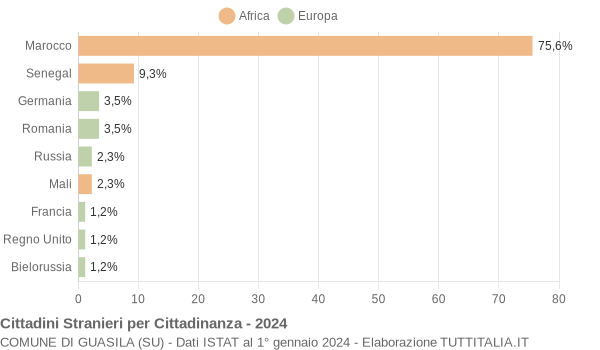 Grafico cittadinanza stranieri - Guasila 2024