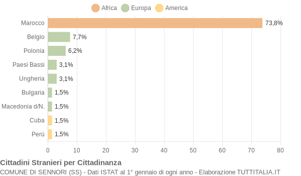 Grafico cittadinanza stranieri - Sennori 2004