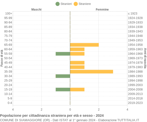 Grafico cittadini stranieri - Siamaggiore 2024