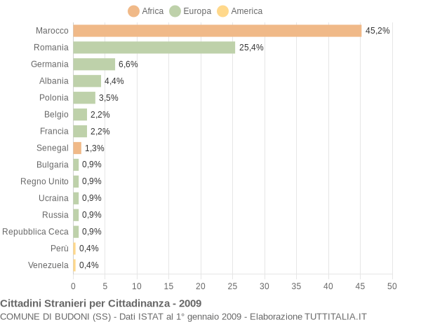 Grafico cittadinanza stranieri - Budoni 2009