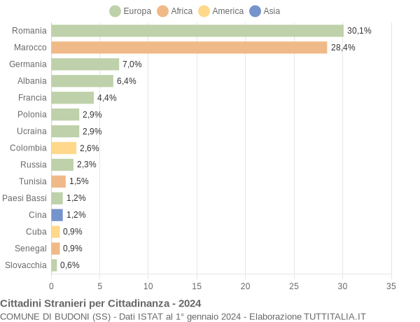 Grafico cittadinanza stranieri - Budoni 2024