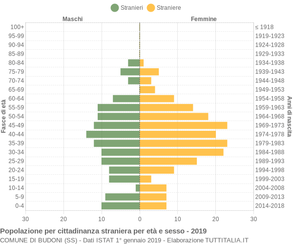 Grafico cittadini stranieri - Budoni 2019