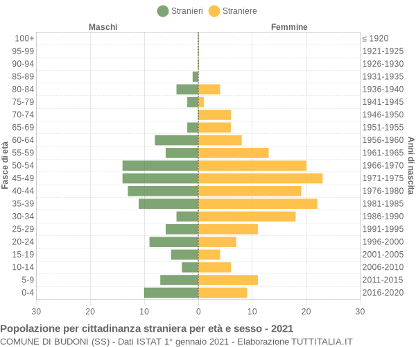 Grafico cittadini stranieri - Budoni 2021