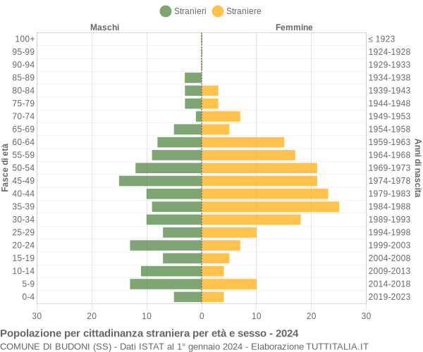 Grafico cittadini stranieri - Budoni 2024