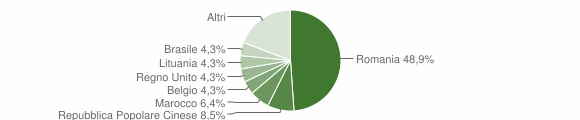 Grafico cittadinanza stranieri - Oliena 2010