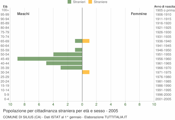 Grafico cittadini stranieri - Silius 2005