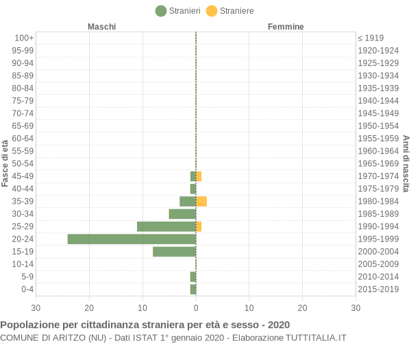 Grafico cittadini stranieri - Aritzo 2020