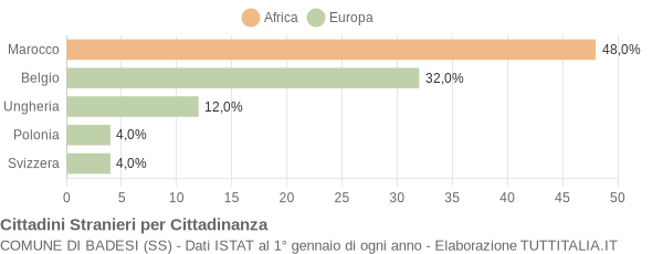 Grafico cittadinanza stranieri - Badesi 2004