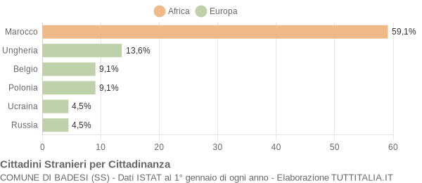 Grafico cittadinanza stranieri - Badesi 2006