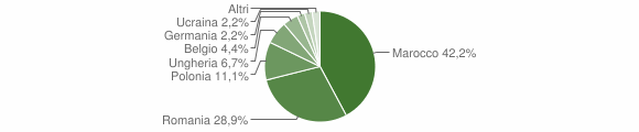 Grafico cittadinanza stranieri - Badesi 2008