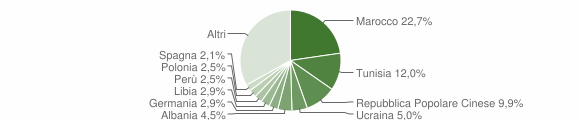 Grafico cittadinanza stranieri - Assemini 2005