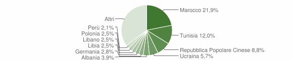 Grafico cittadinanza stranieri - Assemini 2006