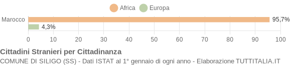 Grafico cittadinanza stranieri - Siligo 2005