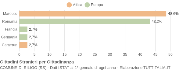 Grafico cittadinanza stranieri - Siligo 2010