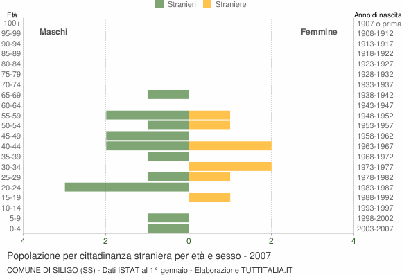 Grafico cittadini stranieri - Siligo 2007