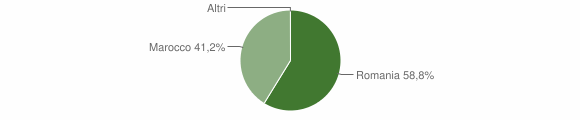 Grafico cittadinanza stranieri - Onanì 2009