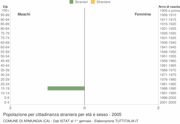 Grafico cittadini stranieri - Armungia 2005
