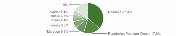 Grafico cittadinanza stranieri - Isili 2015