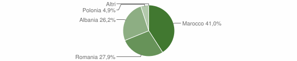 Grafico cittadinanza stranieri - Sedilo 2015