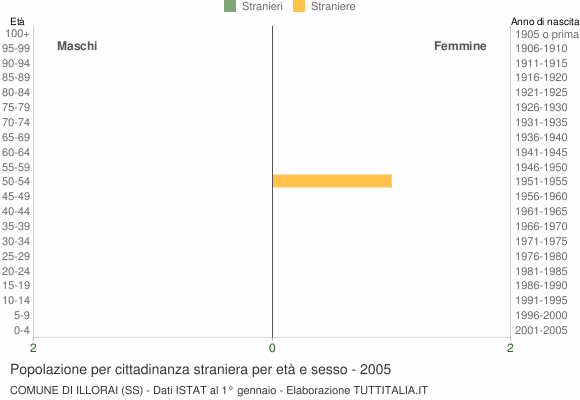 Grafico cittadini stranieri - Illorai 2005
