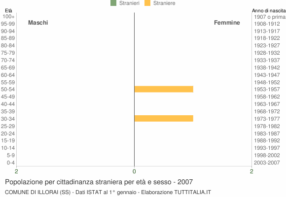 Grafico cittadini stranieri - Illorai 2007