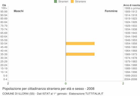 Grafico cittadini stranieri - Illorai 2008