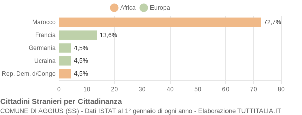 Grafico cittadinanza stranieri - Aggius 2005