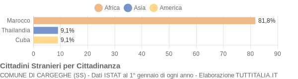 Grafico cittadinanza stranieri - Cargeghe 2004