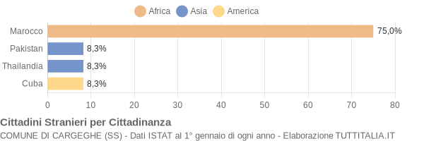 Grafico cittadinanza stranieri - Cargeghe 2005