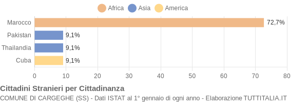 Grafico cittadinanza stranieri - Cargeghe 2006