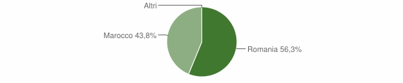 Grafico cittadinanza stranieri - Osidda 2012