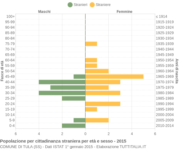 Grafico cittadini stranieri - Tula 2015