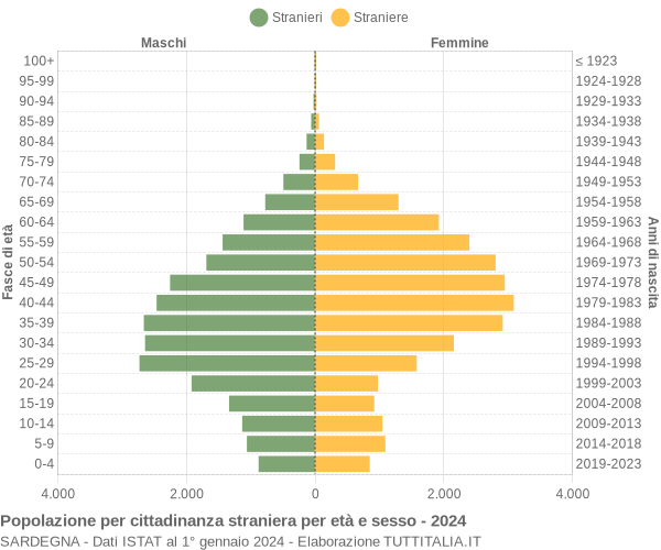 Grafico cittadini stranieri - 2024