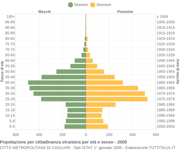 Grafico cittadini stranieri - 2005