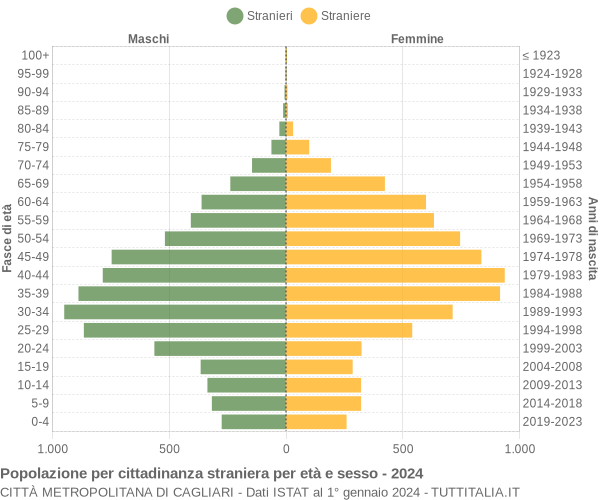 Grafico cittadini stranieri - 2024