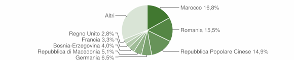 Grafico cittadinanza stranieri - 2008