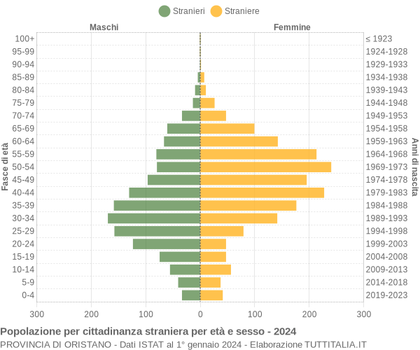 Grafico cittadini stranieri - 2024