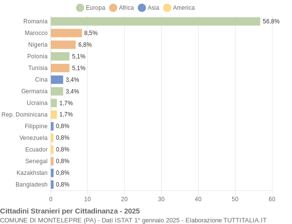 Grafico cittadinanza stranieri - Montelepre 2025