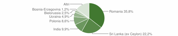 Grafico cittadinanza stranieri - Saponara 2015