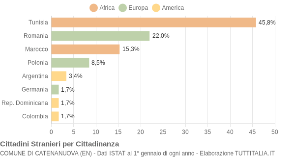 Grafico cittadinanza stranieri - Catenanuova 2006