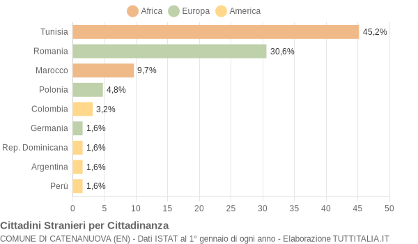 Grafico cittadinanza stranieri - Catenanuova 2007