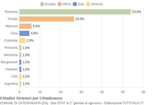 Grafico cittadinanza stranieri - Catenanuova 2008