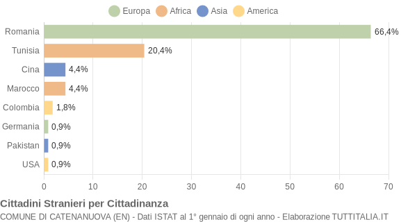 Grafico cittadinanza stranieri - Catenanuova 2009