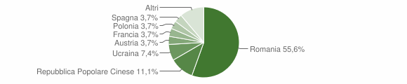Grafico cittadinanza stranieri - Bisacquino 2010